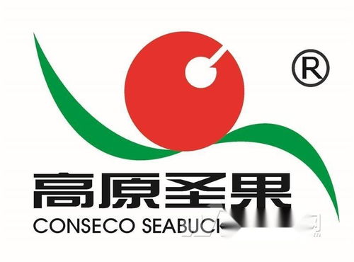 高原圣果沙棘制品 同順廣告傳媒，讓健康與品牌同頻共振